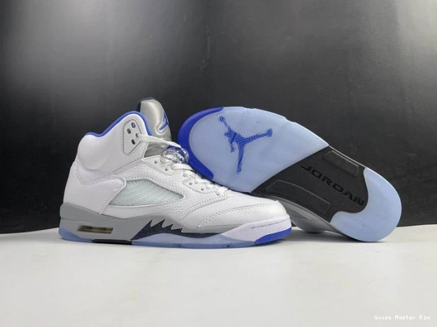 Stealth Air 5 (2021) Jordan White DD0587-140 Retro 0819